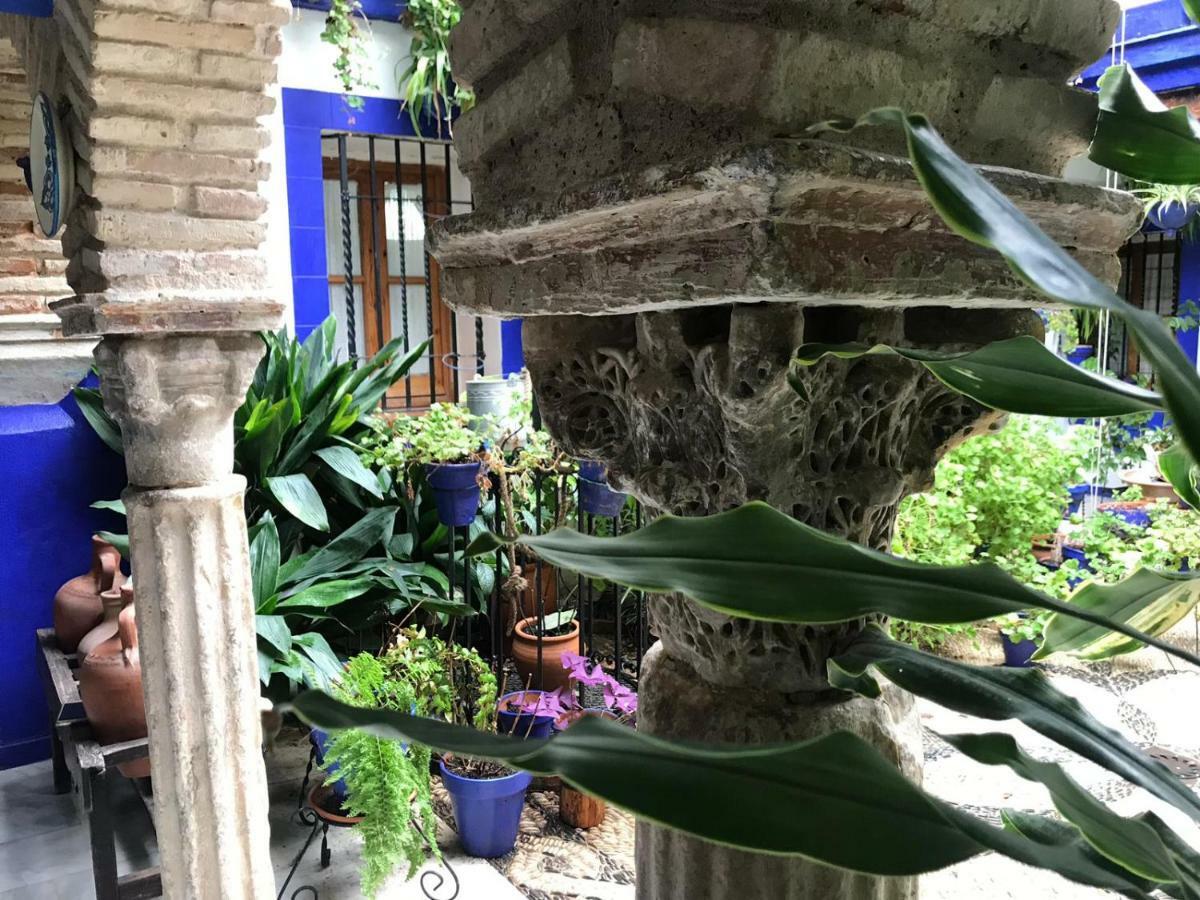 Apartamento Casa Típica De Córdoba